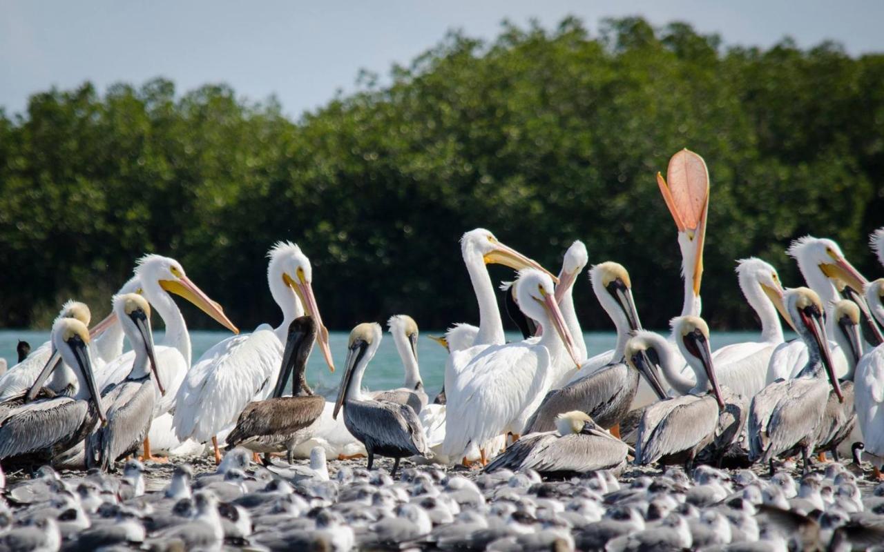 Hotel Rivera Del Rio La Pesca エクステリア 写真